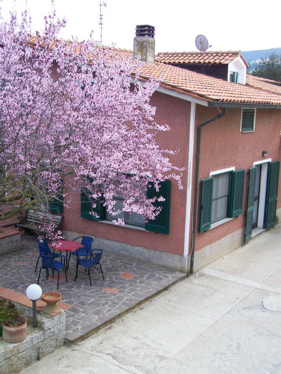 Appartamenti Gli Alberi Capoliveri  Dış mekan fotoğraf