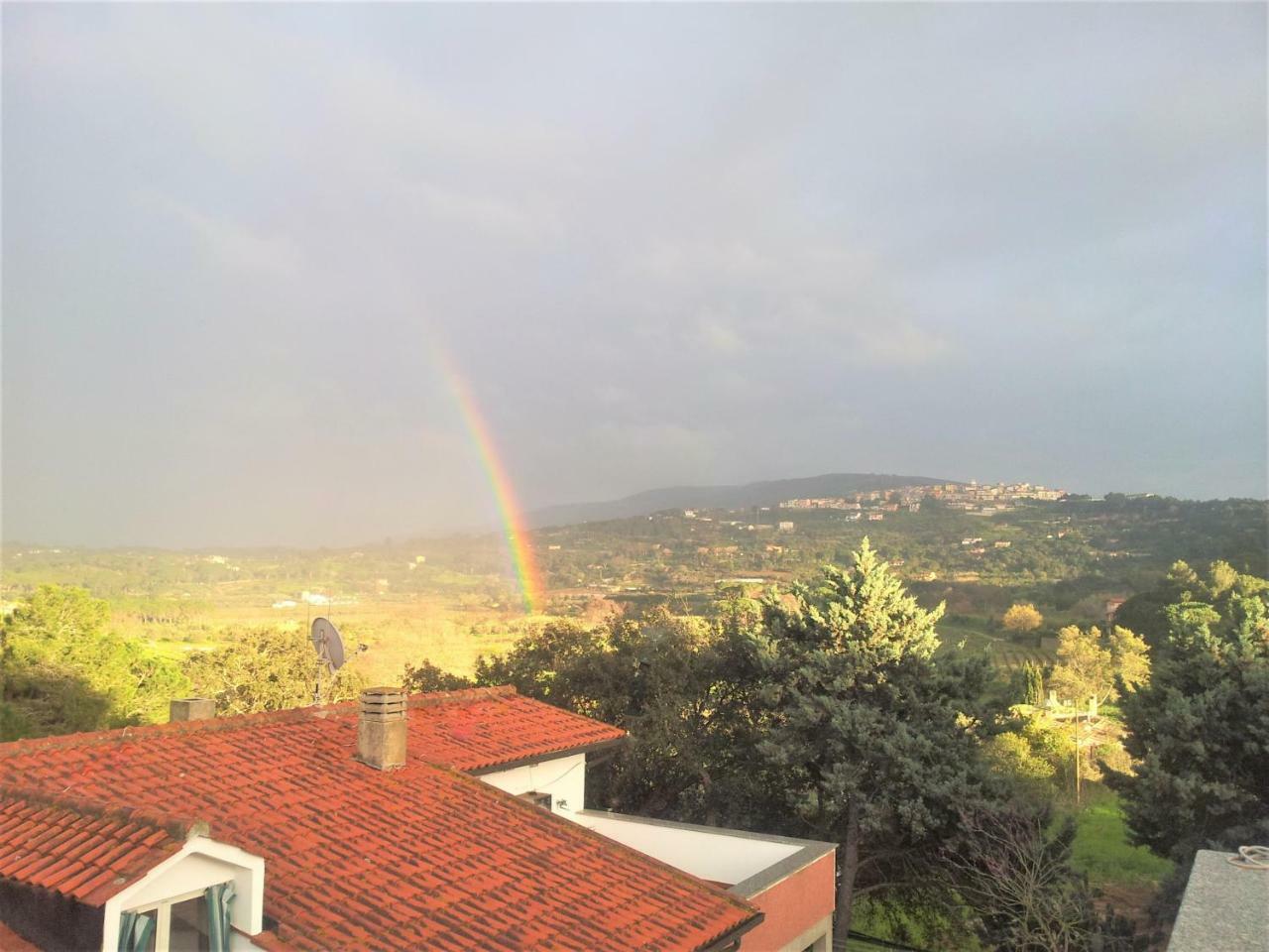 Appartamenti Gli Alberi Capoliveri  Dış mekan fotoğraf